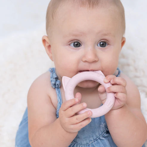 Bella Tunno Rattle Buddy - Cat