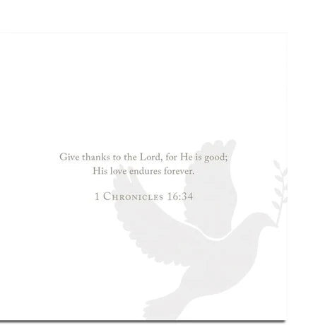 Anne Neilson Scripture Cards - Promise